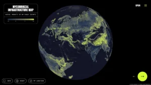 El ‘sistema circulatorio’ oculto de la Tierra: científicos revelan el primer mapa global de una red subterránea clave para la vida